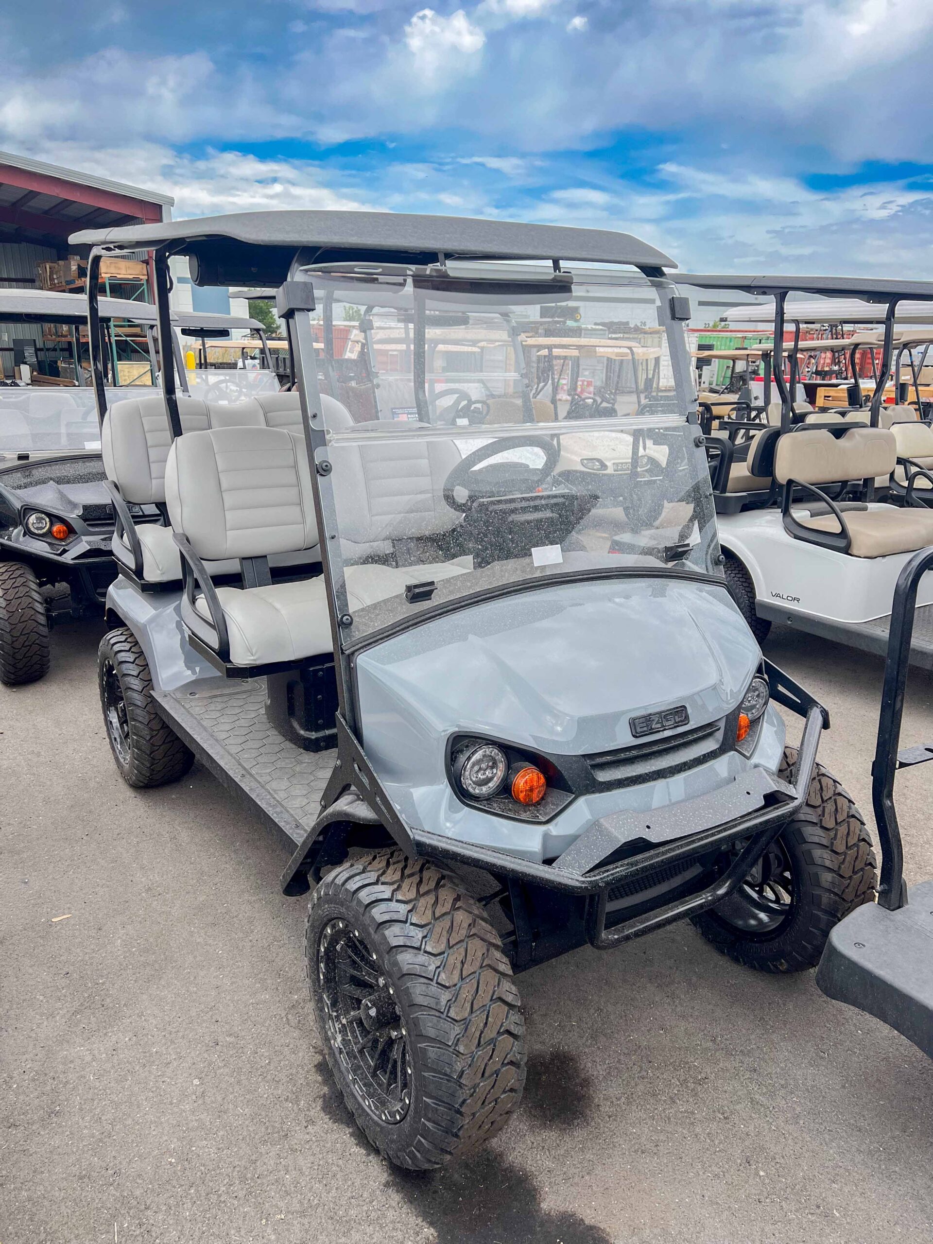 EZGO LIBERTY