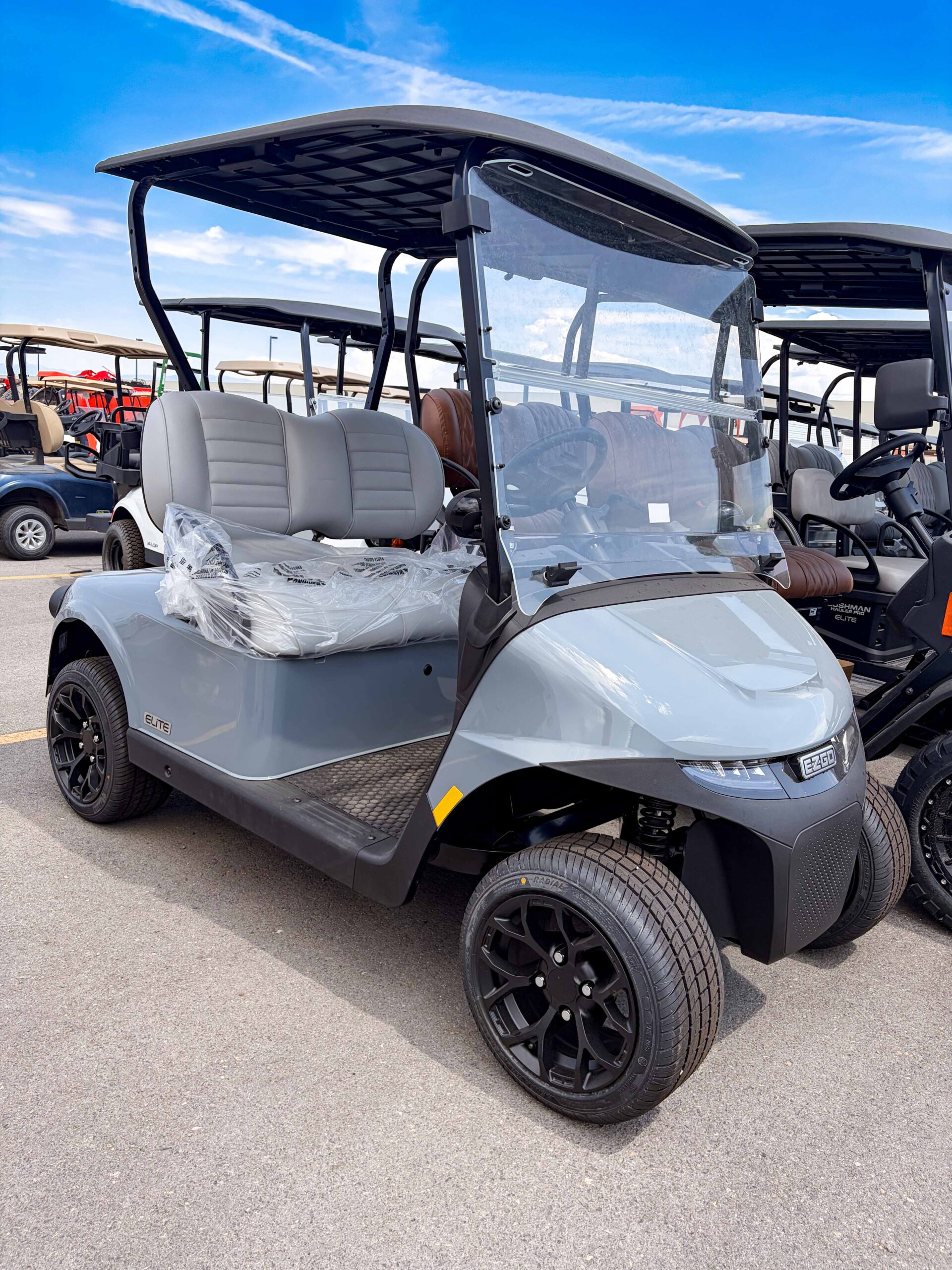 2026 EZGO RXV